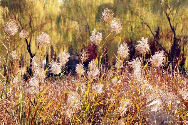 淅川县西簧初中开展“庆祝新中国成立70周年”主题班会活动-beats365唯一官网(图1) 淅川县西簧初中开展“庆祝新中国成立70周年”主题班会活动-beats365唯一官网(图1)