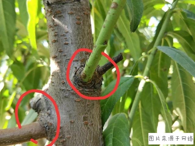 beats365唯一官网