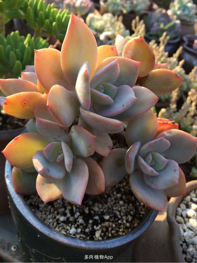 beats365唯一官网