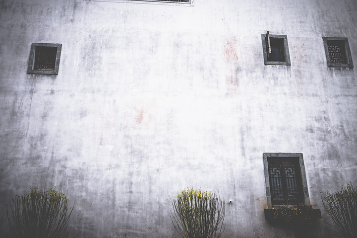 beats365_2016上海新虹桥中学招生简章-上海小升初(图1)