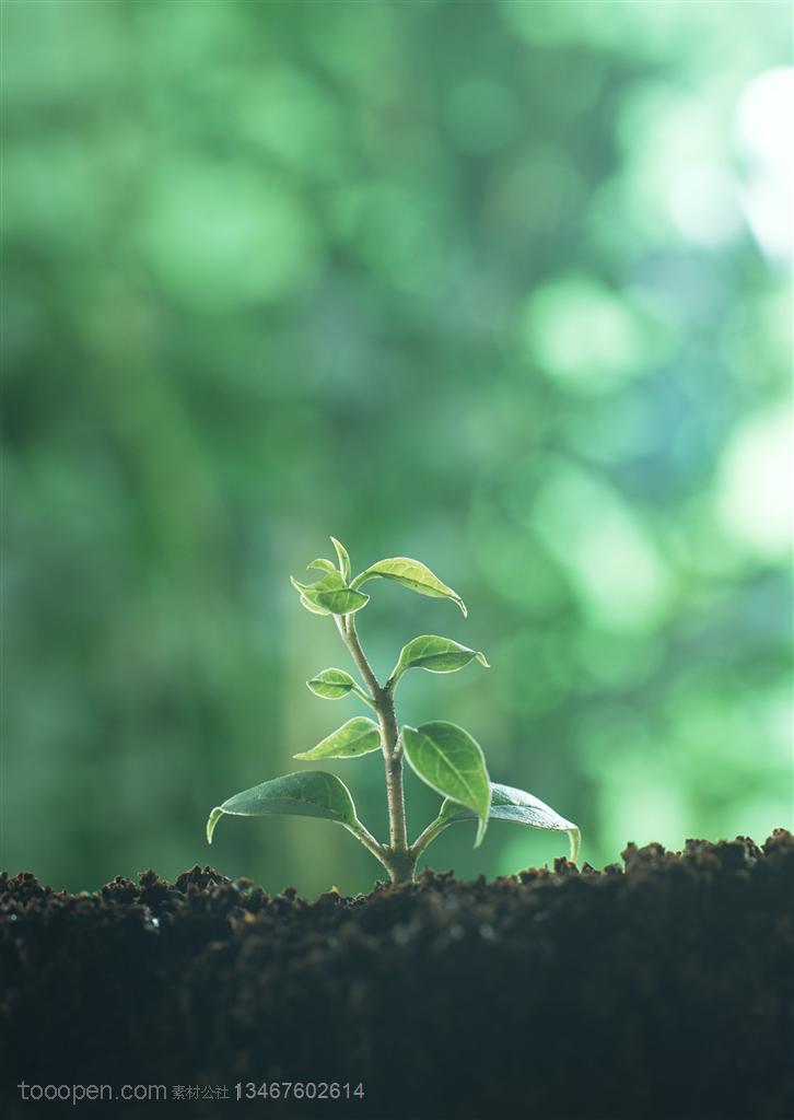 beats365唯一官网:方城县柳河镇程庄小学举行口头作文比赛(图2) beats365唯一官网