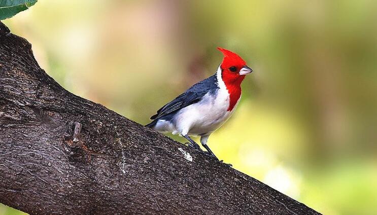 beats365唯一官网