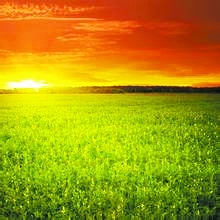 想要去除湿气,常见的方法有哪些呢?_beat365平台入口(图1) beats365唯一官网