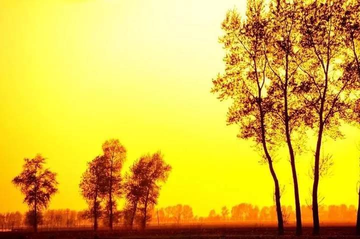 广州亚运城周边药店挂警示整治成瘾性药品市场-beats365唯一官网(图4) 广州亚运城周边药店挂警示整治成瘾性药品市场-beats365唯一官网(图4)