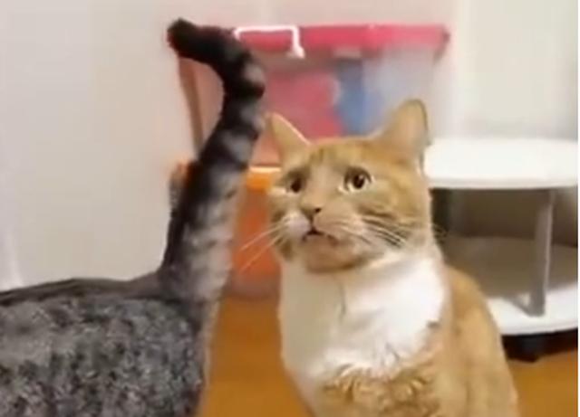 安庆市局构筑特殊药品安全“防火墙”【beats365】(图3)