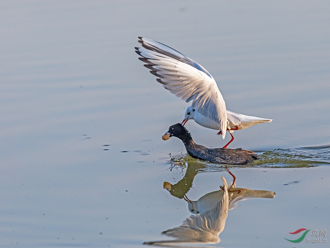 beats365_厉害了我的团感知泥之美(图1) beats365_厉害了我的团感知泥之美(图1)