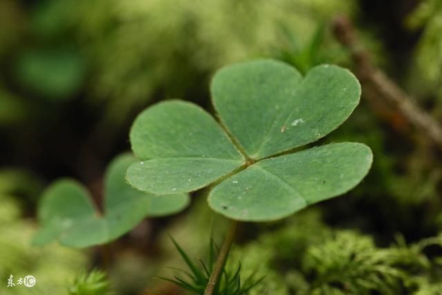 beats365唯一官网