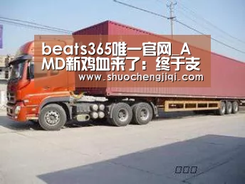 beats365唯一官网_AMD新鸡血来了：终于支持这款N卡大作！(图2)