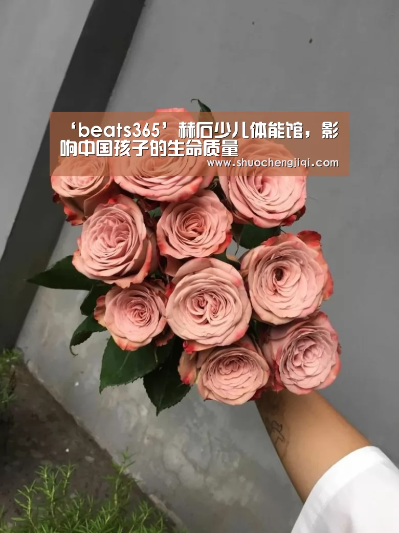 ‘beats365’赫石少儿体能馆，影响中国孩子的生命质量