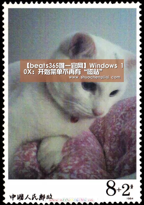 【beats365唯一官网】Windows 10X:开始菜单不再有“磁贴”(图3) beats365唯一官网