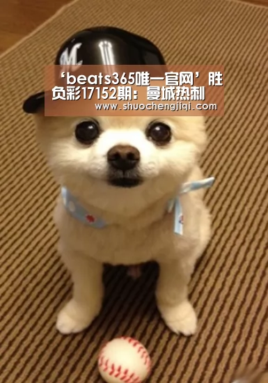‘beats365唯一官网’胜负彩17152期:曼城热刺拜仁稳胆 切尔西多特谨慎防平(图2) ‘beats365唯一官网’胜负彩17152期:曼城热刺拜仁稳胆 切尔西多特谨慎防平(图2)